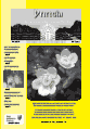 Yttersia - menighetsblad for Berg og Torsken