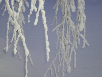 Greiner med snø