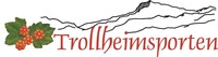 TP logo stor (gammel, m