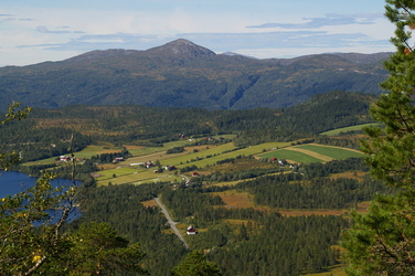 IMGP4349