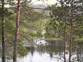 Marka&nbsp;mai&nbsp;03-1