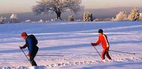 ski
