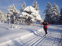 Ski Grønlifeltet 008_300x225