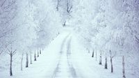 vinter_1171183c