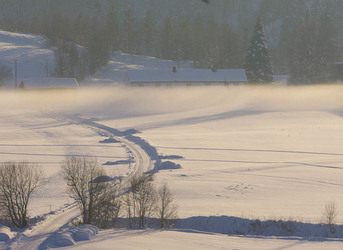 Langøyan i skodde_500x364