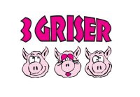 Logo 3 griser