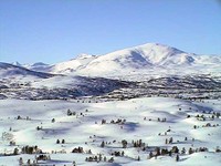 Helgetunmarka