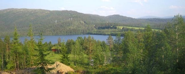 Rabben 6