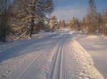 løype1