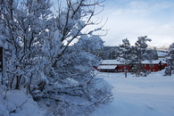 Det har lavet ned med sn&Atilde;&cedil; de siste dagene. Vinteren er ikke over enda... Foto: Juanita