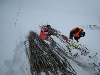 RK IMG_4259