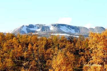 Svarthetta bre2