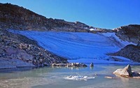 Snotbreen