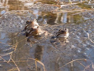 OLYMPUS DIGITAL CAMERA OLYMPUS DIGITAL CAMERA
