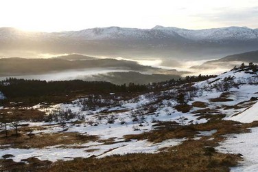 Kvit jul 5
