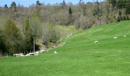 ende4