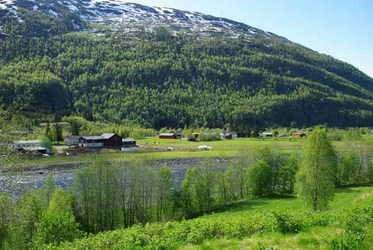 annen4
