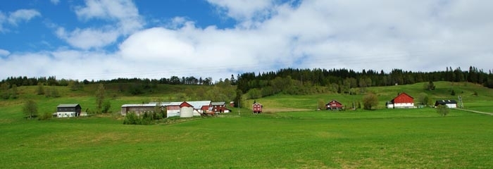 annen6