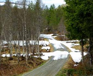 annen8