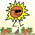 vaer-sol