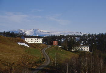 Grønligardene