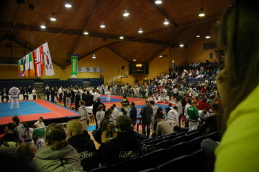 DSC_0417_1024x681