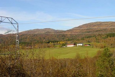 Frekslia