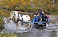 hest Toråa
