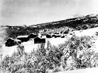Møkkel 1919