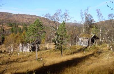 Rognlistuggi