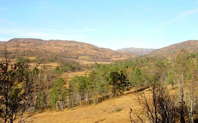 MOTSET~1