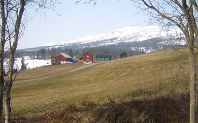 mokkelgardsgrenda 5 Utigard og Løfallhøgfjellet2 500p
