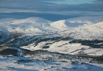 Løfald