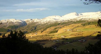 Løfallgrenda