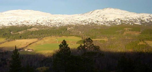 Sollia