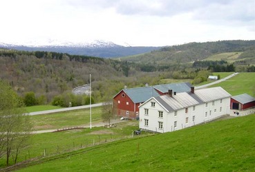 Nestu