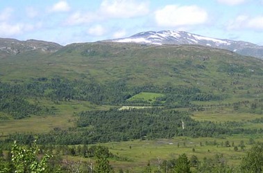 Gråurfjellet6