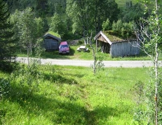 gråur1