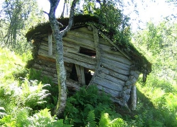 Gråur2