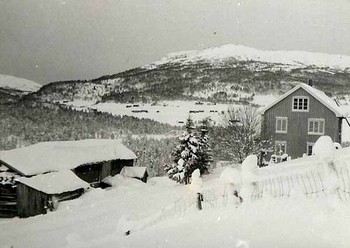 Høgtun
