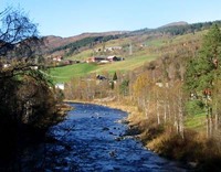 Langs Holtvegen1
