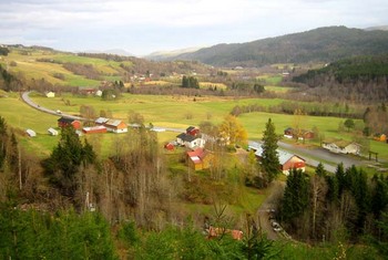 Nestu Røen1