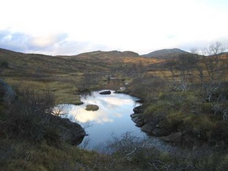 Nestu Røen6