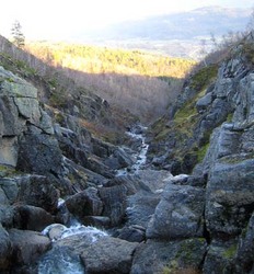 Nestu Røen7