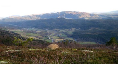 Nestu Røen4