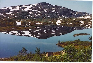 Brandålia2