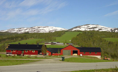 Utistu Tiset