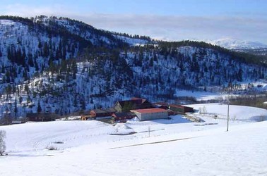 Negård (2)