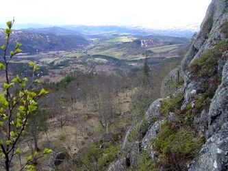 Nedover Skogen