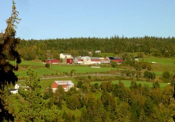 Negard og Romundstad-garder